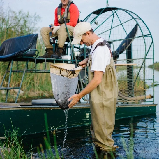 FIU researchers in the Everglades